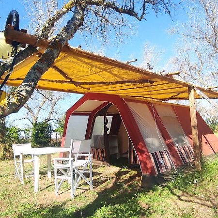 Готель Camping Terreno-Ro-Bi-Li Кутроф'яно Екстер'єр фото