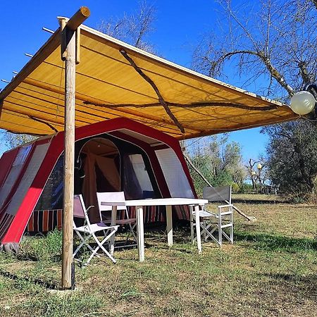 Готель Camping Terreno-Ro-Bi-Li Кутроф'яно Екстер'єр фото