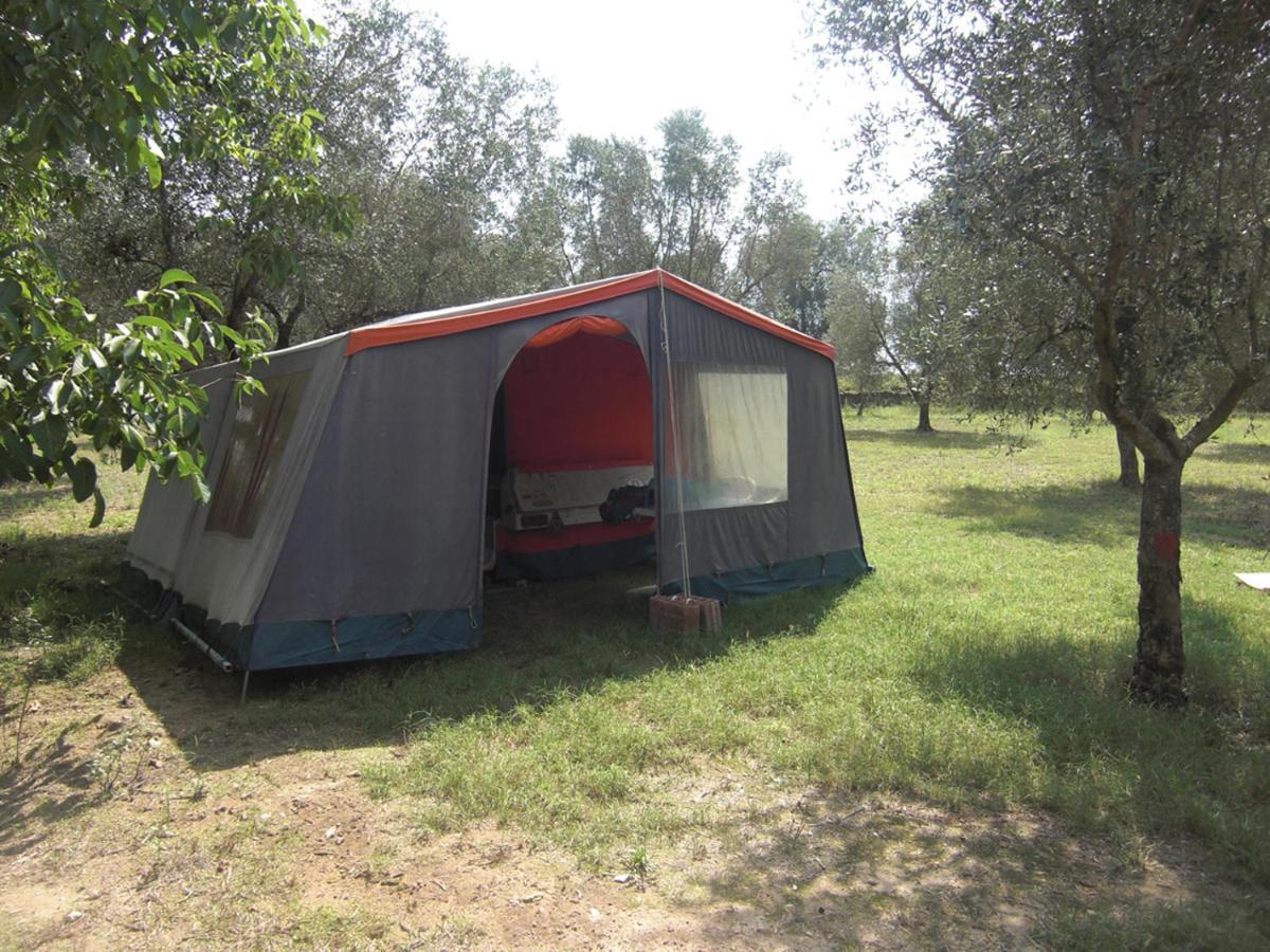 Готель Camping Terreno-Ro-Bi-Li Кутроф'яно Екстер'єр фото