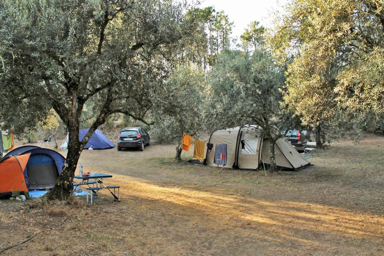 Готель Camping Terreno-Ro-Bi-Li Кутроф'яно Екстер'єр фото