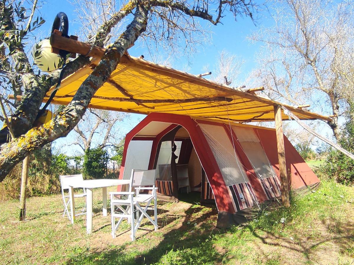 Готель Camping Terreno-Ro-Bi-Li Кутроф'яно Екстер'єр фото