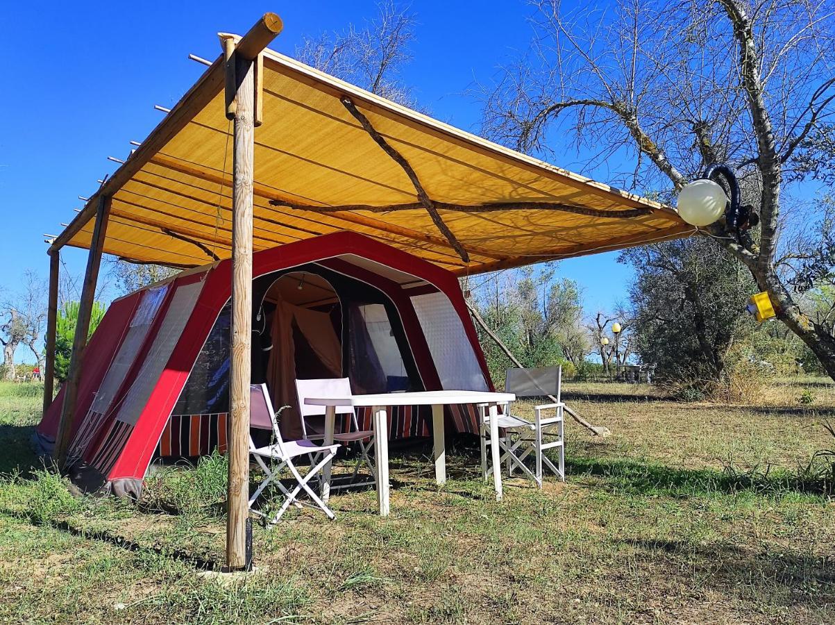Готель Camping Terreno-Ro-Bi-Li Кутроф'яно Екстер'єр фото