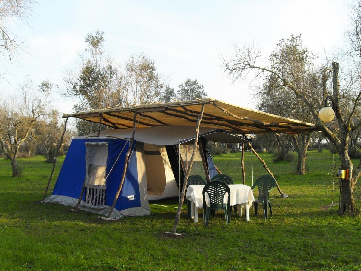 Готель Camping Terreno-Ro-Bi-Li Кутроф'яно Екстер'єр фото