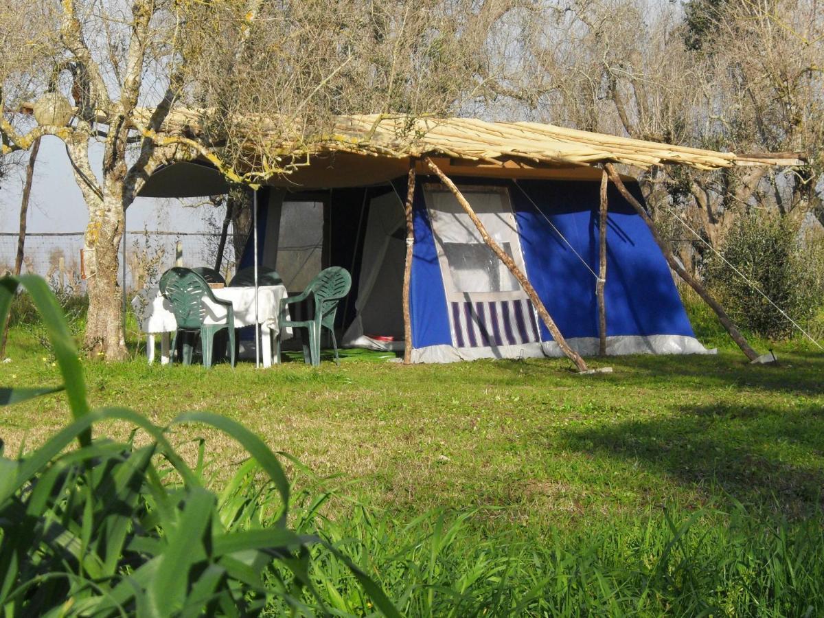 Готель Camping Terreno-Ro-Bi-Li Кутроф'яно Екстер'єр фото