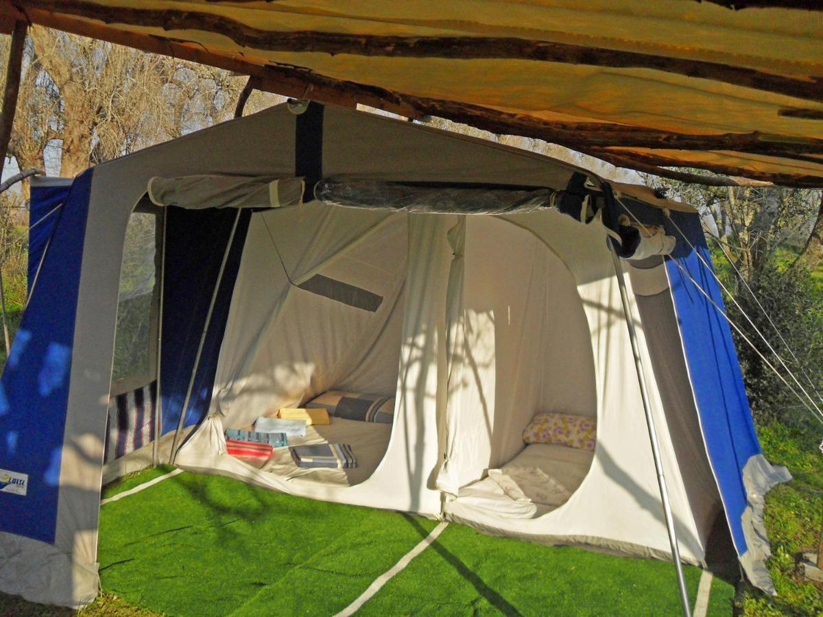 Готель Camping Terreno-Ro-Bi-Li Кутроф'яно Екстер'єр фото